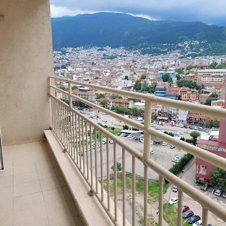 Mahmoud Apartment Bursa